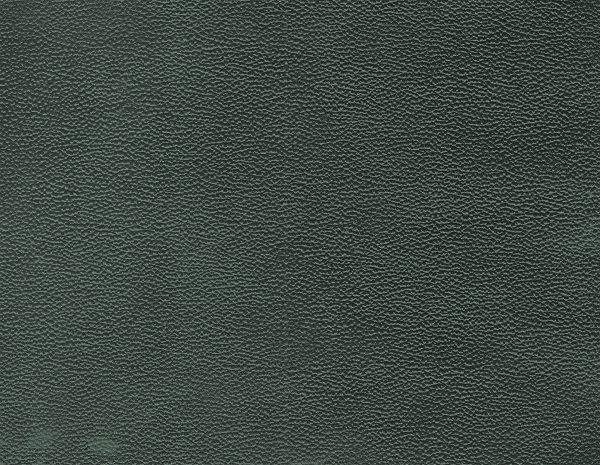 project-image