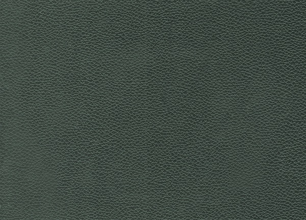 project-image